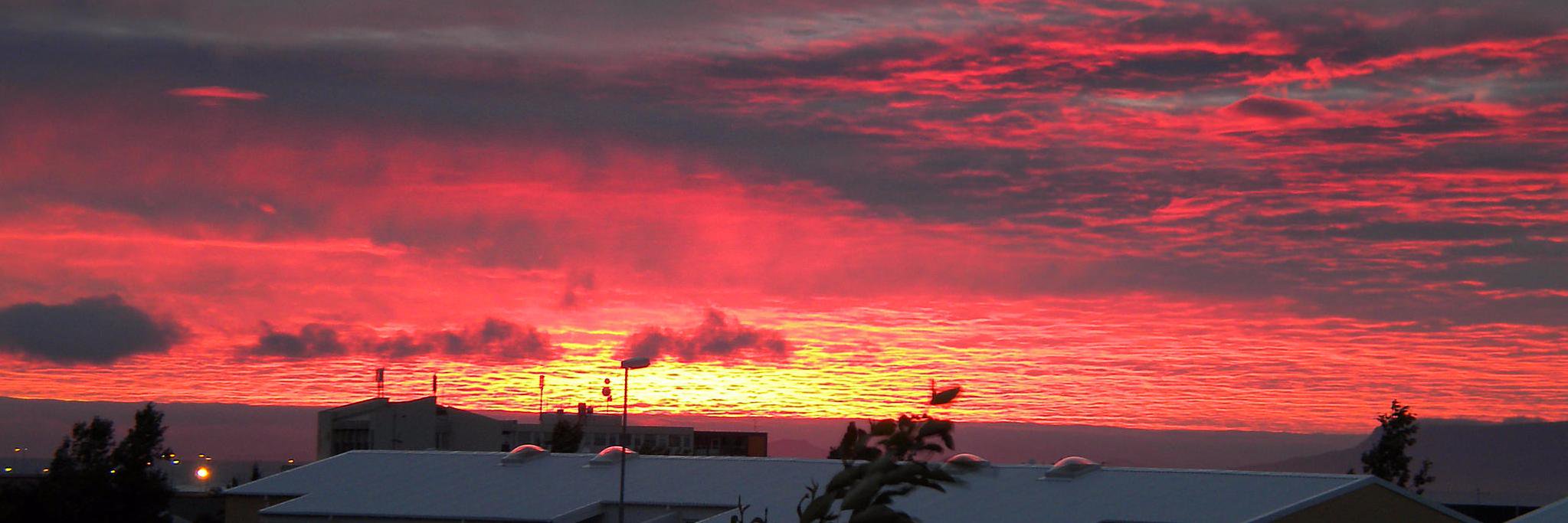 Bjorgvin Reynisson banner