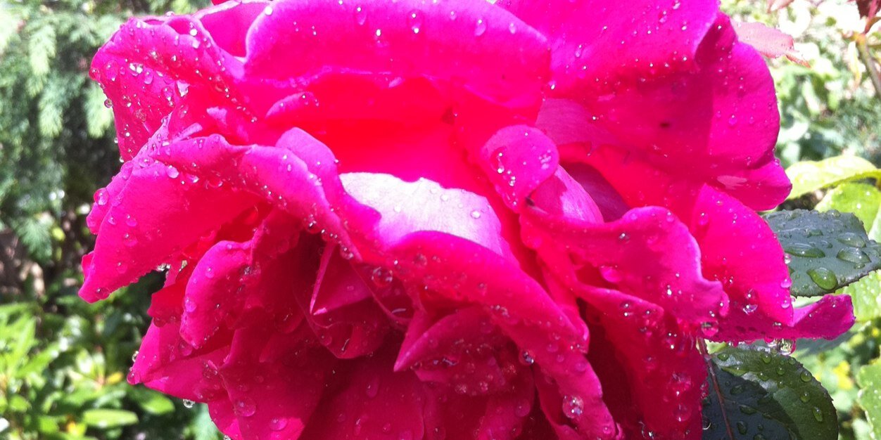 charlgrace's profile banner image