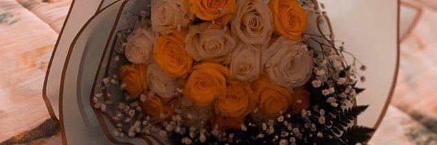A1989BNOV's profile banner image