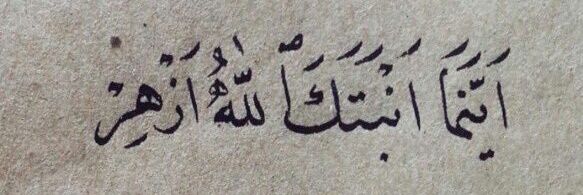 I_Amnah22's profile banner image