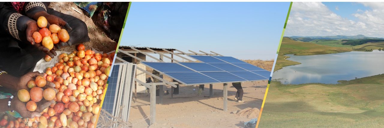 NEXUS Platform banner