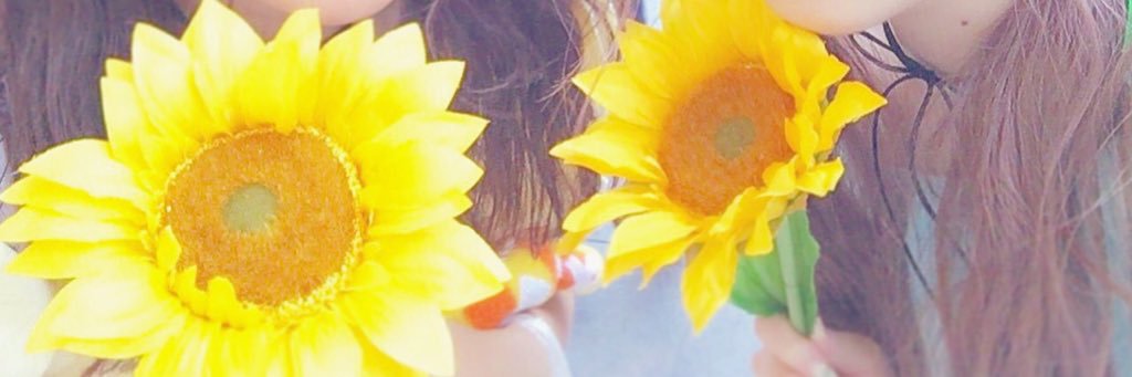 h___2am's profile banner image