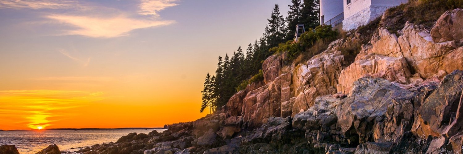 mary_aster's profile banner image