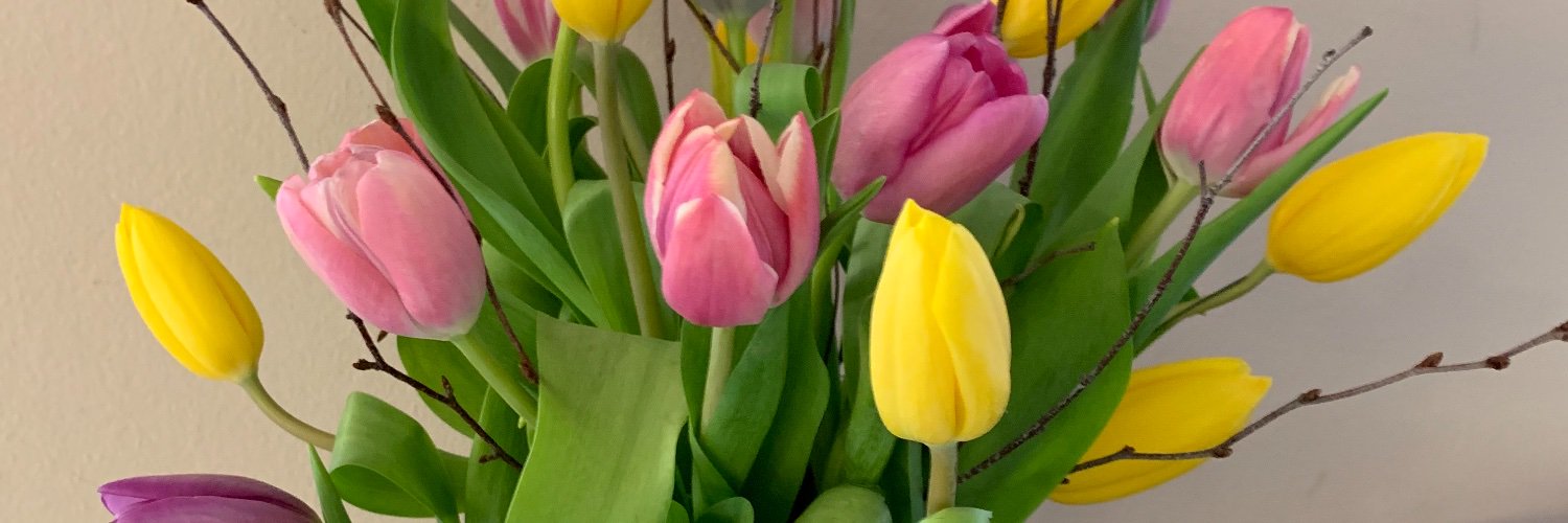 Sarah Scripture banner