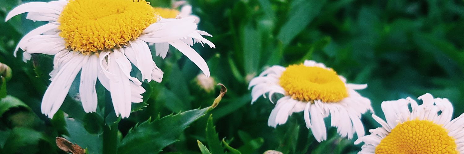 andimxa's profile banner image
