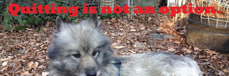 ksbaxter1's profile banner image