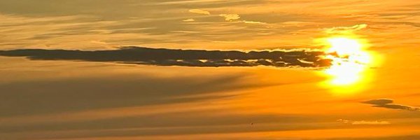CeschiReto Profile Banner