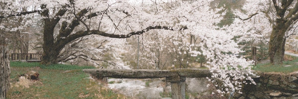 🪽 banner