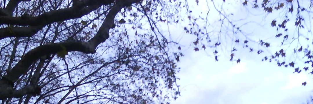 vaydesign's profile banner image