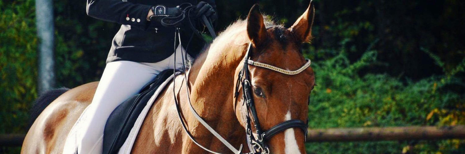 evabdry's profile banner image