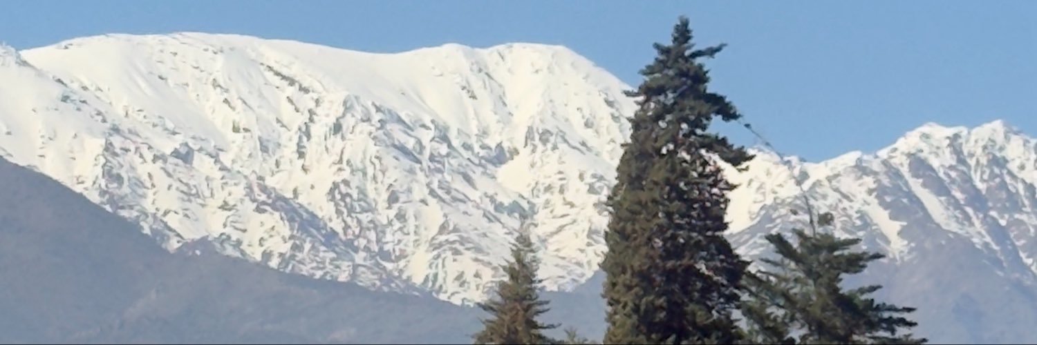 pvlemos's profile banner image