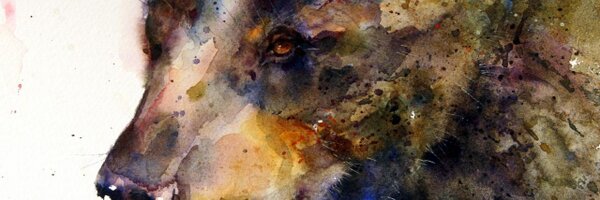 LoganRhoades Profile Banner