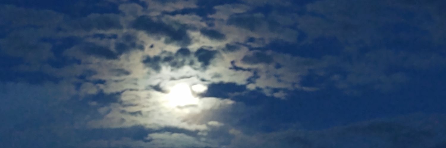 amiguissimo's profile banner image