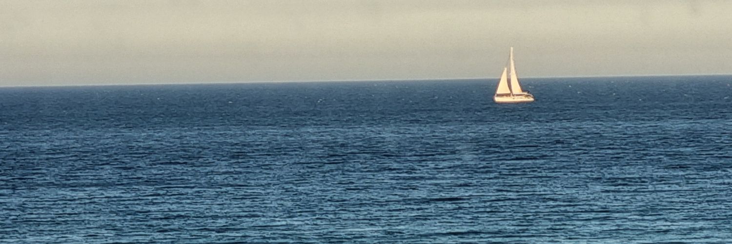 inu1295's profile banner image