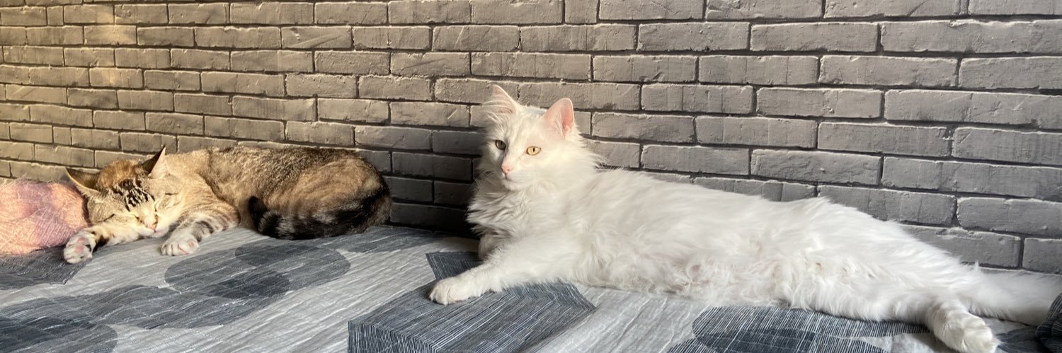 A Giu Parmeraⓟ banner