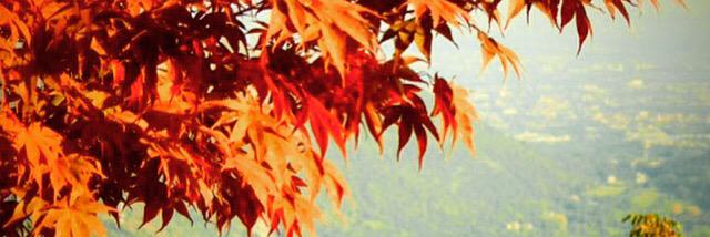 Enk_89's profile banner image
