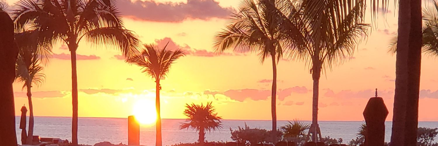 jackiefinn27's profile banner image