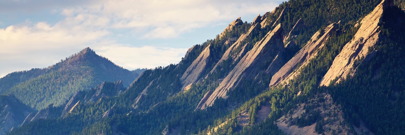 jemccaleb's profile banner image