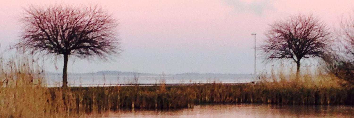 JanBrunton's profile banner image