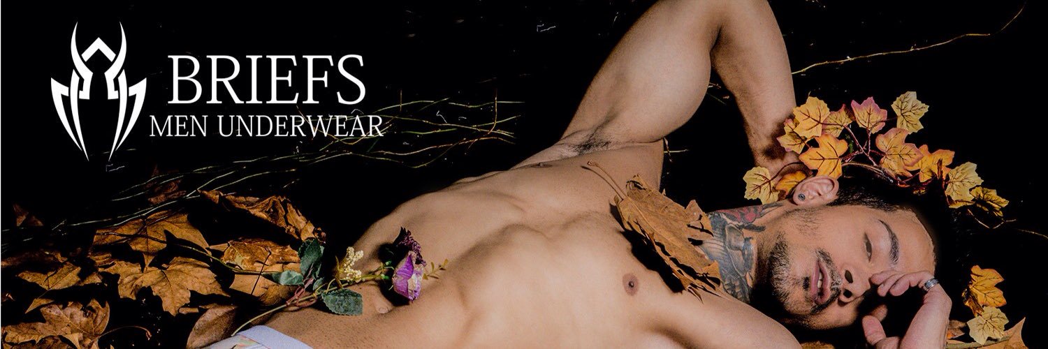 Briefs_Brazil's profile banner image
