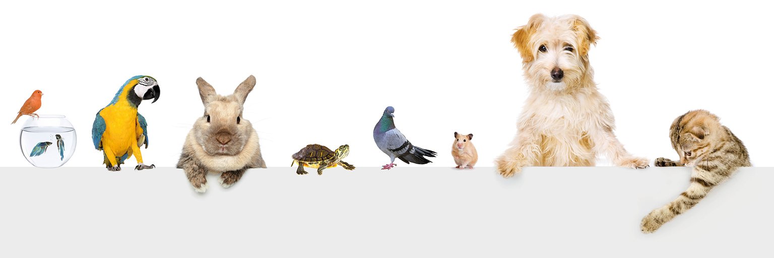 LaroyGroup's profile banner image