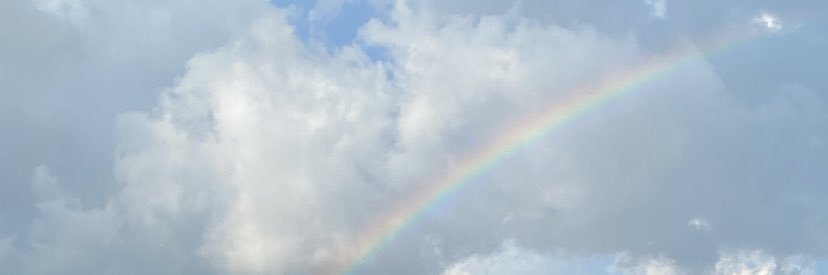 Ella 🧡 banner
