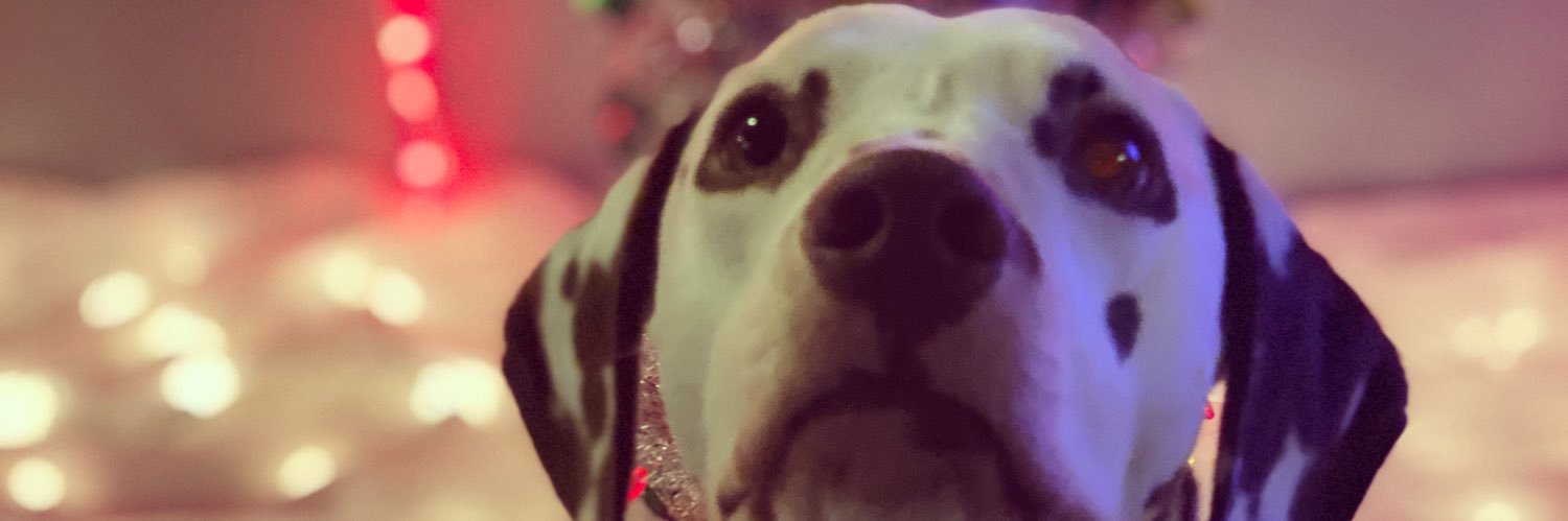 itsbrunotimee's profile banner image