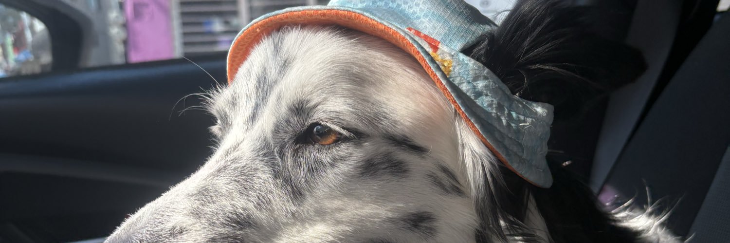 wearejorge's profile banner image