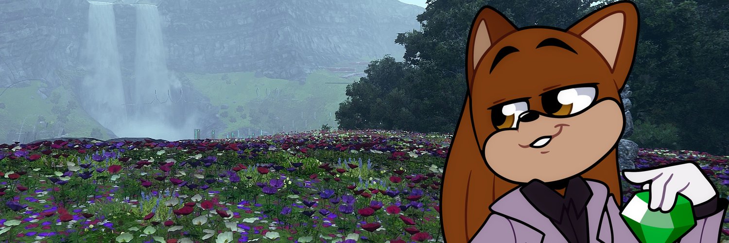 STHedgehog 🦔 banner