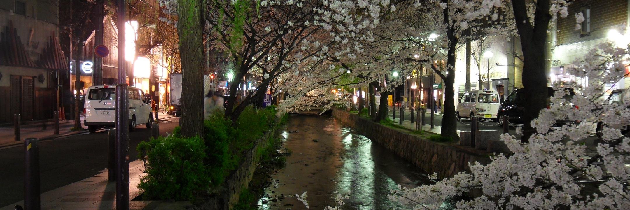 Borys Pierov 🇺🇦 @ashald@mastodon.social banner