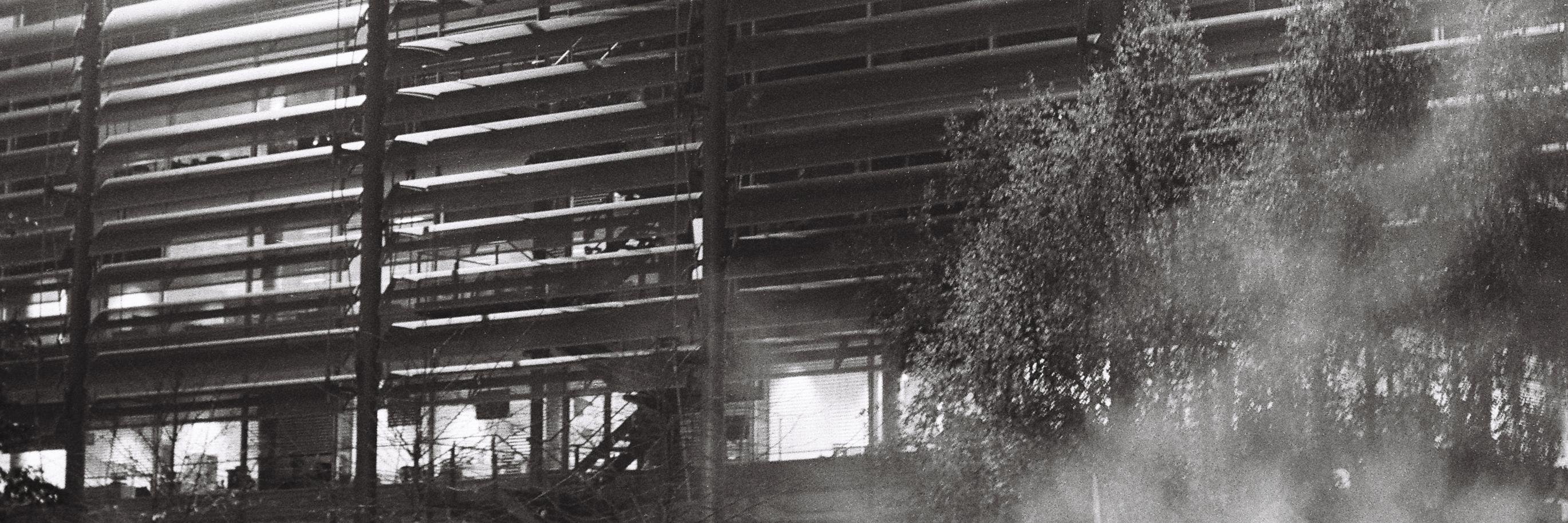 tigger2051's profile banner image