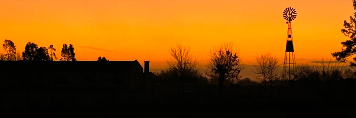 cristiale's profile banner image