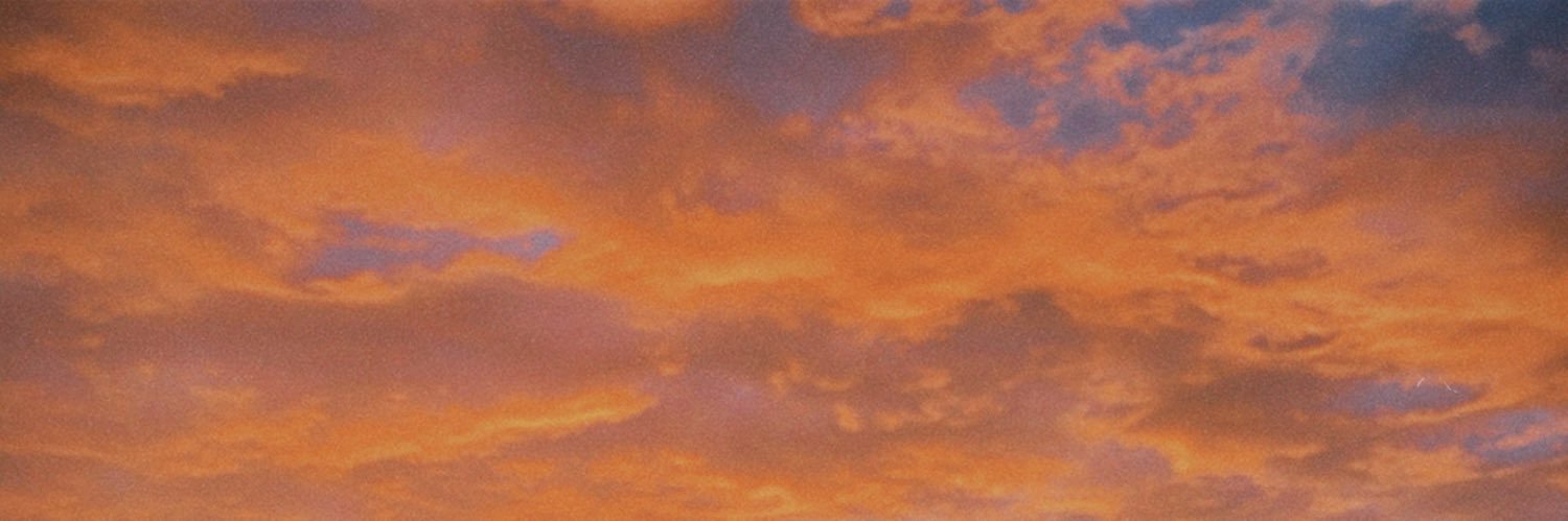 DaphneElsocht's profile banner image