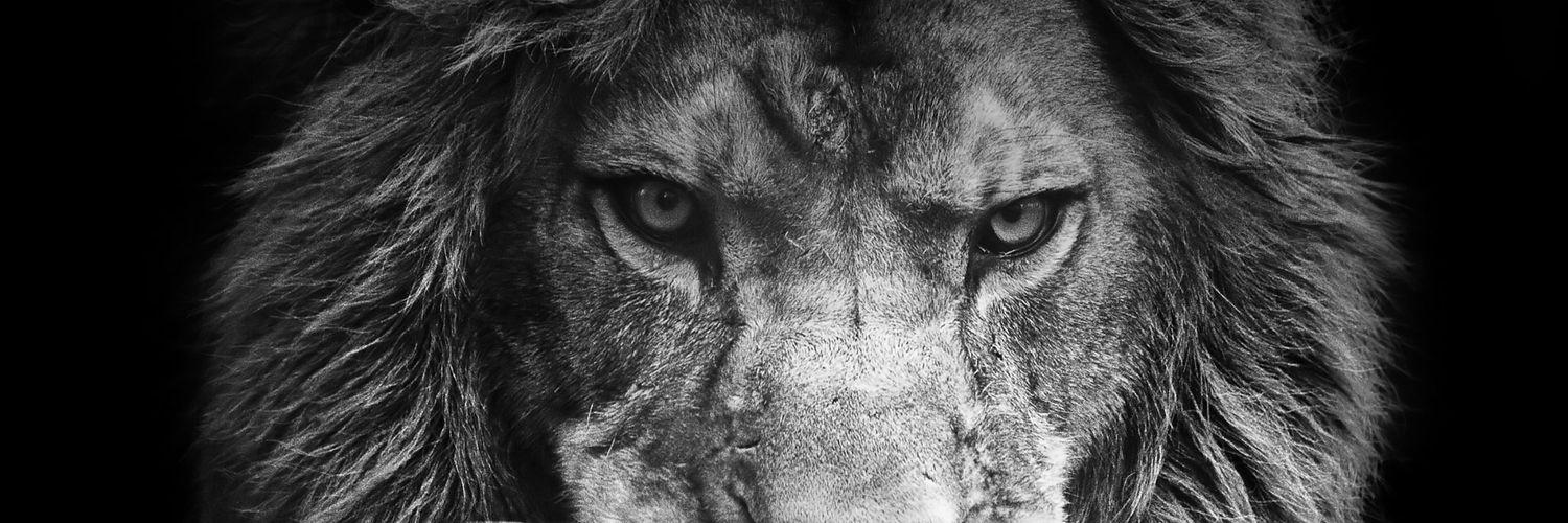 TheAverageMoe's profile banner image