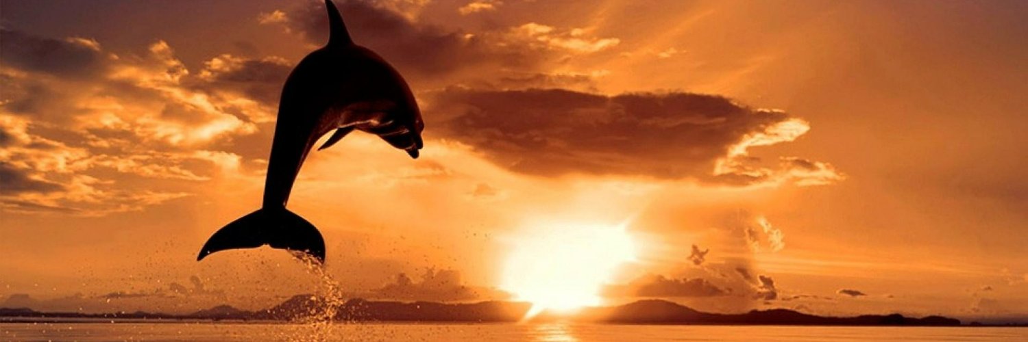 _gdolphin's profile banner image
