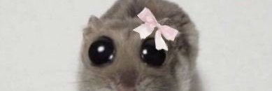 Nancy🥰 banner