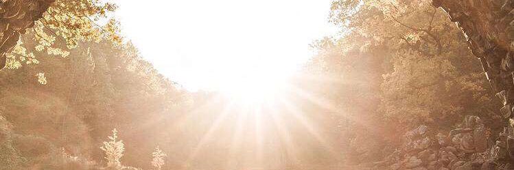 asd808066's profile banner image