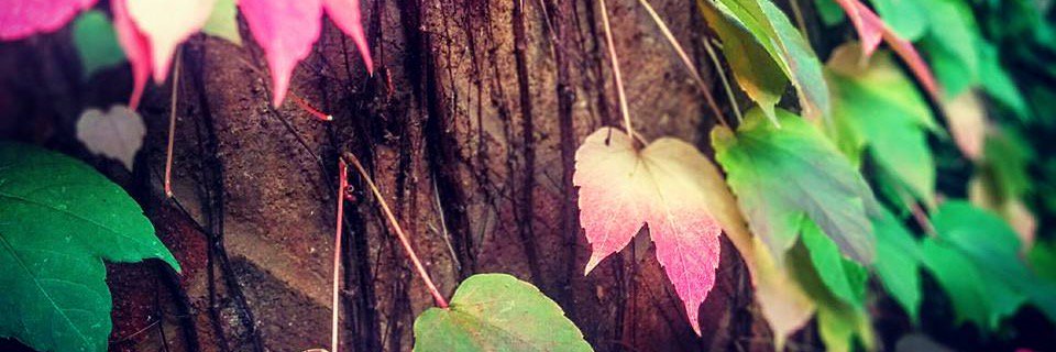Maria__Sagrera's profile banner image