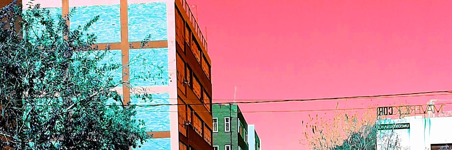 Wandisa banner