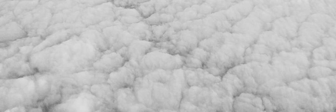 alazarotomas's profile banner image