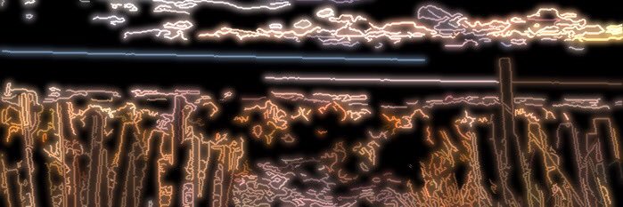 Sugarcubedog's profile banner image