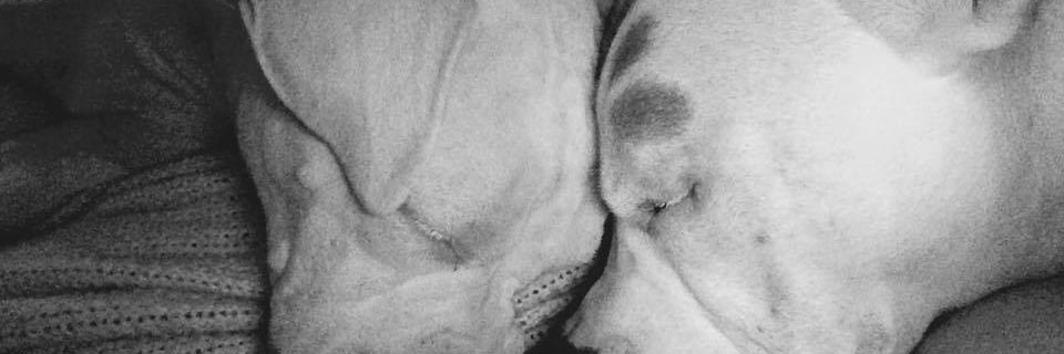 D1r2g1's profile banner image