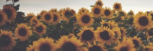 bea_anta's profile banner image