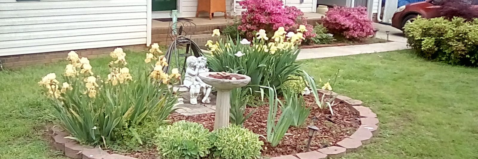 Julia Jackson banner