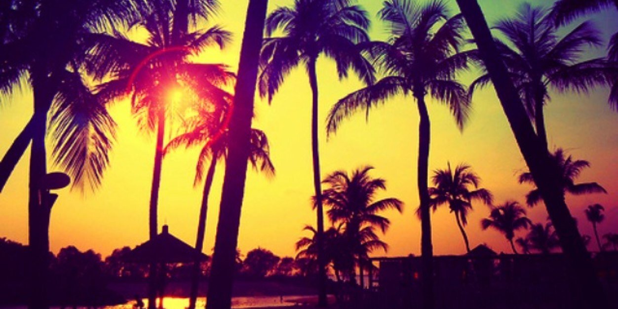 SoniaBelizon's profile banner image