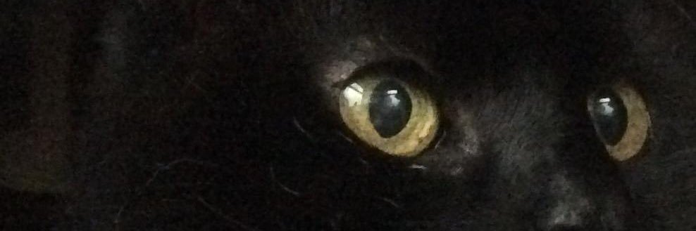SULLYYYYYY's profile banner image