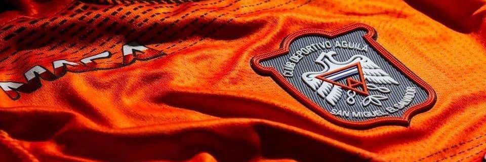 Chlespinal banner