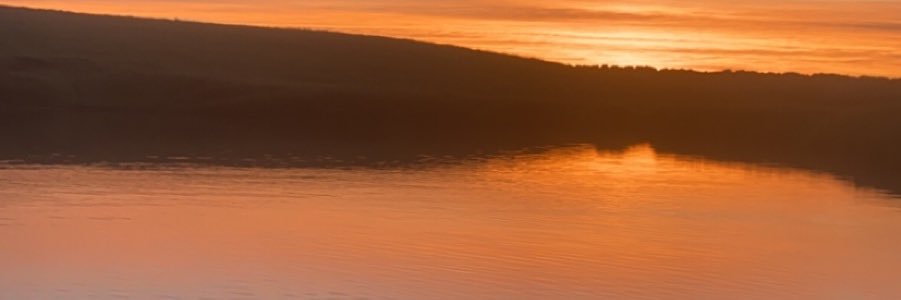 B_M_005's profile banner image
