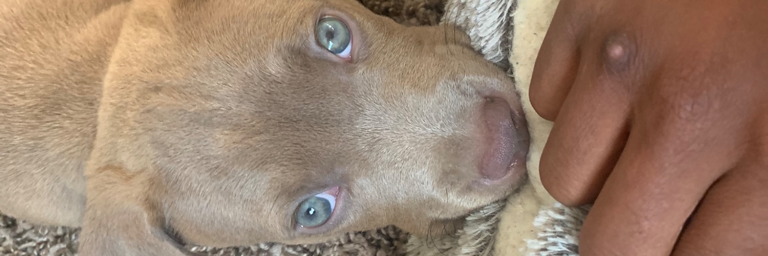 ItsYann's profile banner image