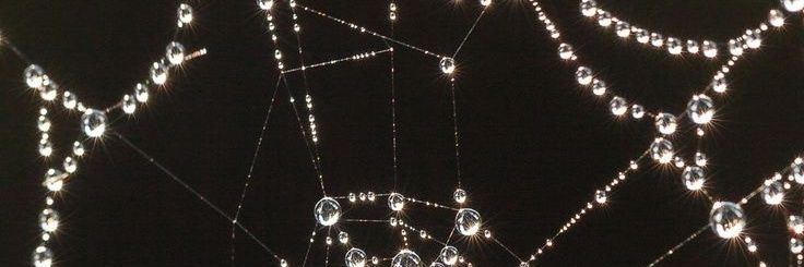 SarahJkr's profile banner image